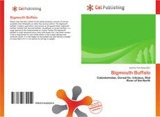 Buchcover von Bigmouth Buffalo