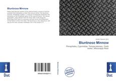 Bookcover of Bluntnose Minnow