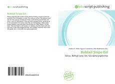 Borítókép a  Bobtail Snipe Eel - hoz