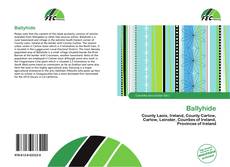 Обложка Ballyhide