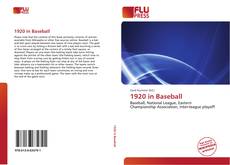 Bookcover of 1920 in Baseball