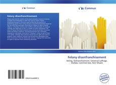 Capa do livro de Felony disenfranchisement 