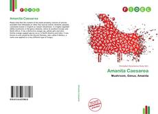 Bookcover of Amanita Caesarea