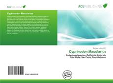 Bookcover of Cyprinodon Macularius