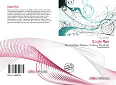 Copertina di Eagle Ray