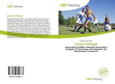 Bookcover of Lesly Fellinga