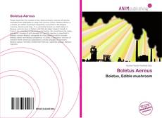 Portada del libro de Boletus Aereus