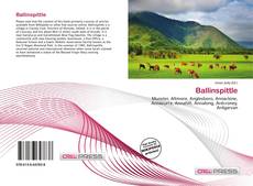 Capa do livro de Ballinspittle 