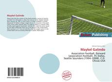 Bookcover of Maykel Galindo