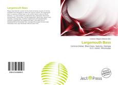 Buchcover von Largemouth Bass