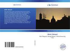 Capa do livro de Amir Ansari 