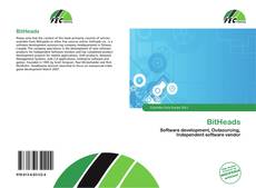 Обложка BitHeads
