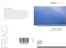 Portada del libro de Baleen Whale