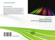 Buchcover von Brown Bullhead