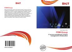 Bookcover of FDM Group