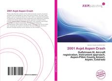 2001 Avjet Aspen Crash kitap kapağı