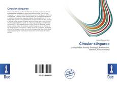 Buchcover von Circular stingaree