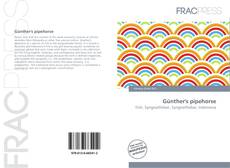 Günther's pipehorse的封面
