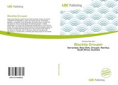 Bookcover of Blacktip Grouper