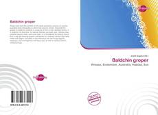 Buchcover von Baldchin groper