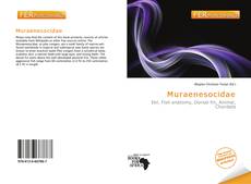 Bookcover of Muraenesocidae