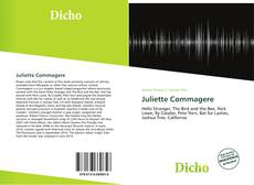 Capa do livro de Juliette Commagere 