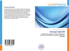 Bookcover of Groupe Spinelli