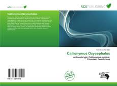 Buchcover von Callionymus Oxycephalus