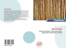 Buchcover von Bonefishes