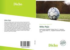 Capa do livro de Mike Pejic 