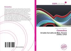 Portada del libro de Conectiva