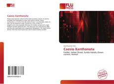 Bookcover of Caesio Xanthonota