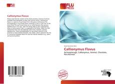 Обложка Callionymus Flavus