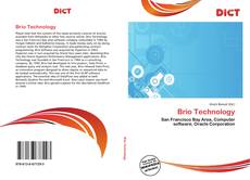 Bookcover of Brio Technology