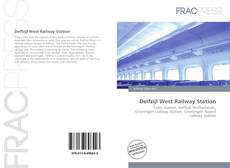 Delfzijl West Railway Station的封面