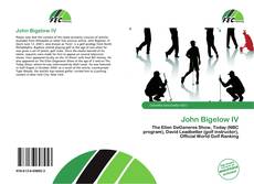 John Bigelow IV的封面