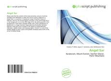 Couverture de Angel Sar