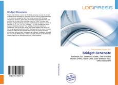 Bookcover of Bridget Benenate