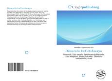 Buchcover von Dinuzulu kaCetshwayo