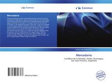 Capa do livro de Mercedario 