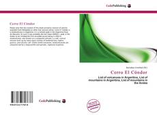 Capa do livro de Cerro El Cóndor 