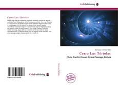 Capa do livro de Cerro Las Tórtolas 