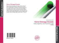 Bookcover of Cerro Ciénaga Grande