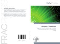 Copertina di Moineau Domestique