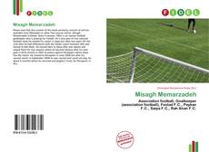 Bookcover of Misagh Memarzadeh