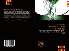 Copertina di Delaware Valley Mantarays