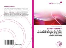 Portada del libro de Lambdaistanbul