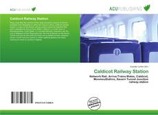 Bookcover of Caldicot Railway Station