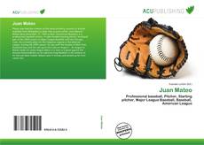 Bookcover of Juan Mateo