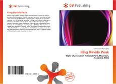 Buchcover von King Davids Peak